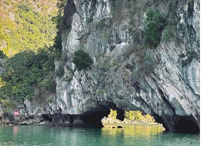  Luxury Cruise Ha Long